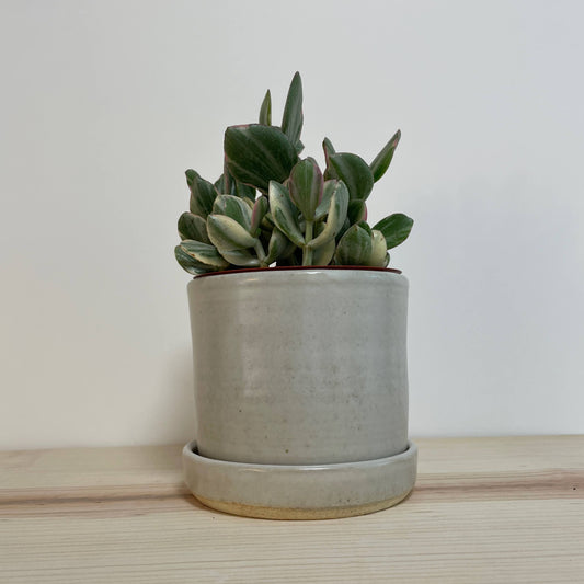 Small Gray Planter with Saucer