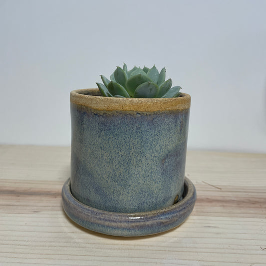 Mini Blue Planter with Saucer